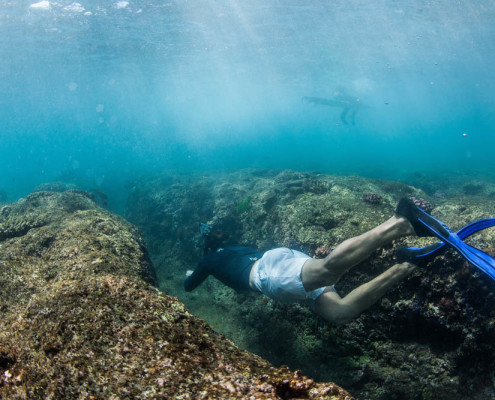 Fiji-Adventure-Activities-Resort-Dive-Waidroka Fiji Activities Snorkel Waidroka