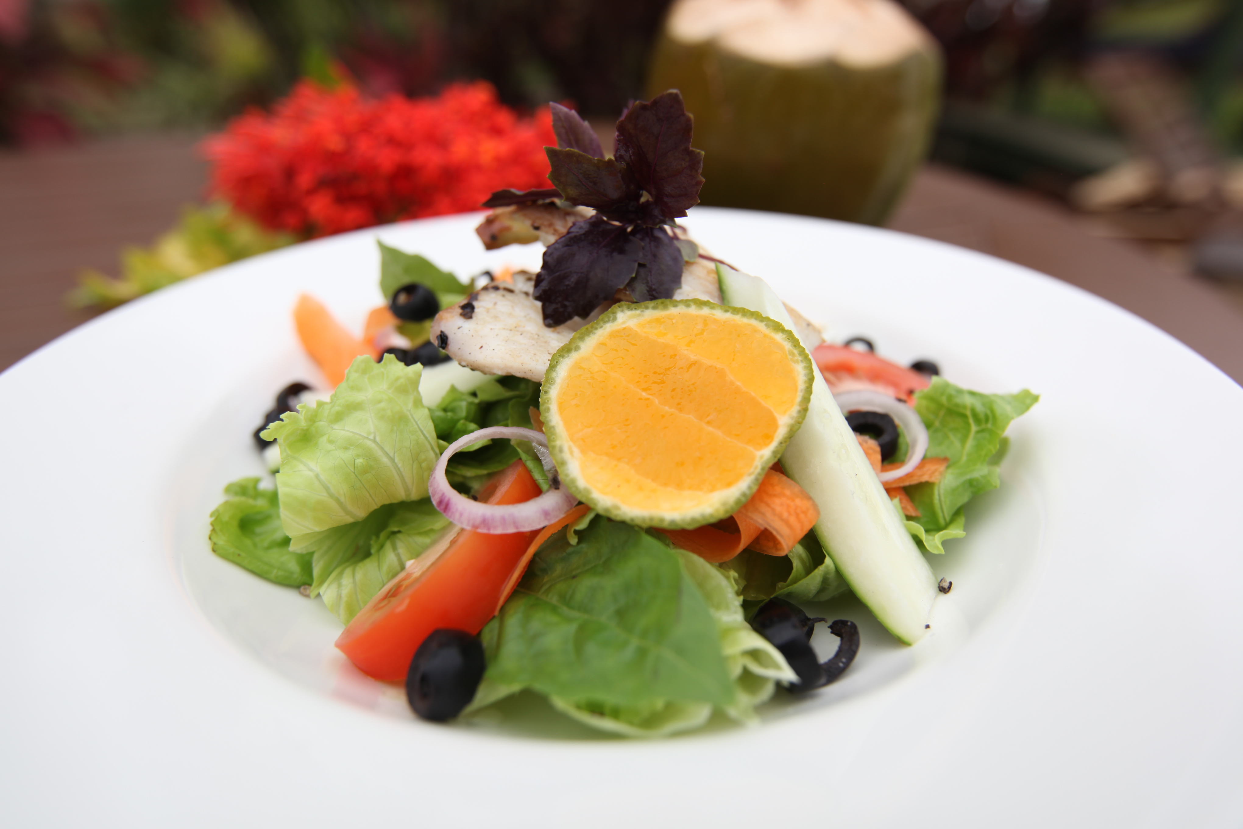healthy_salad healthy salad
