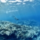 Snorkeling Pipe