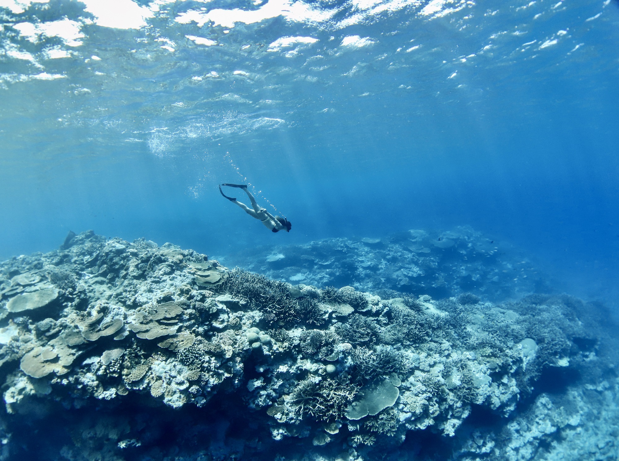 Snorkeling Pipe